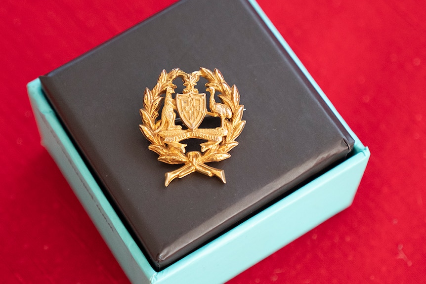 An intricate gold cut out badge, sitting in a small box.