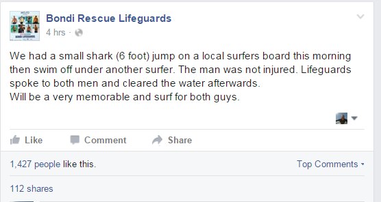 Bondi Rescue facebook page