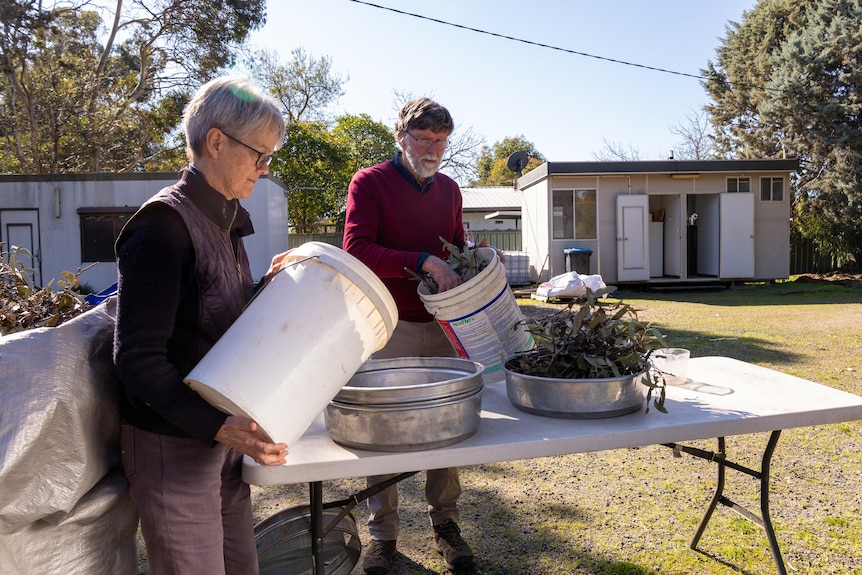 Two elderly people hold buckets next to a table with tree branches on it