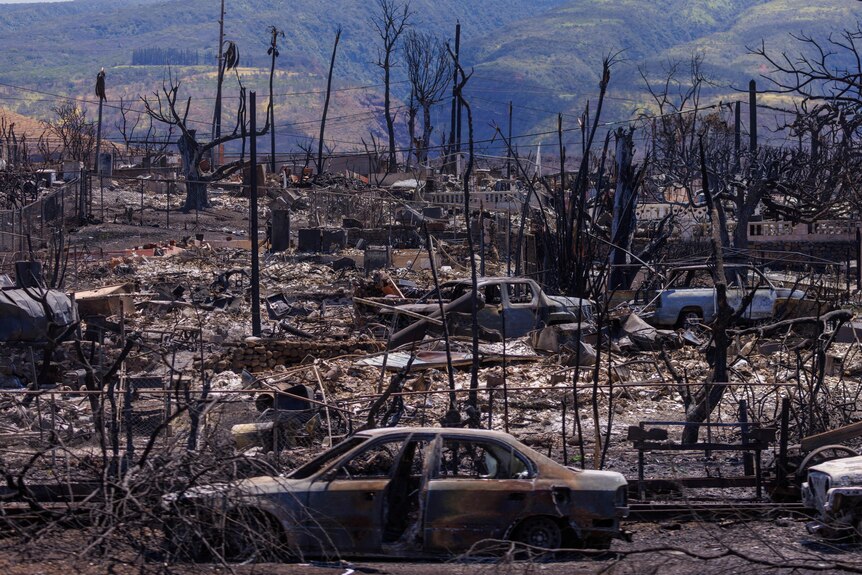 A burnt car is in the foreground and is surrounded by trees and parts of buildings that have been destroyed by fire.