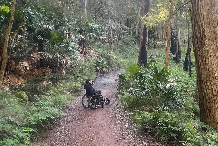 A woman in a wheelchair on a dirt path in bushland