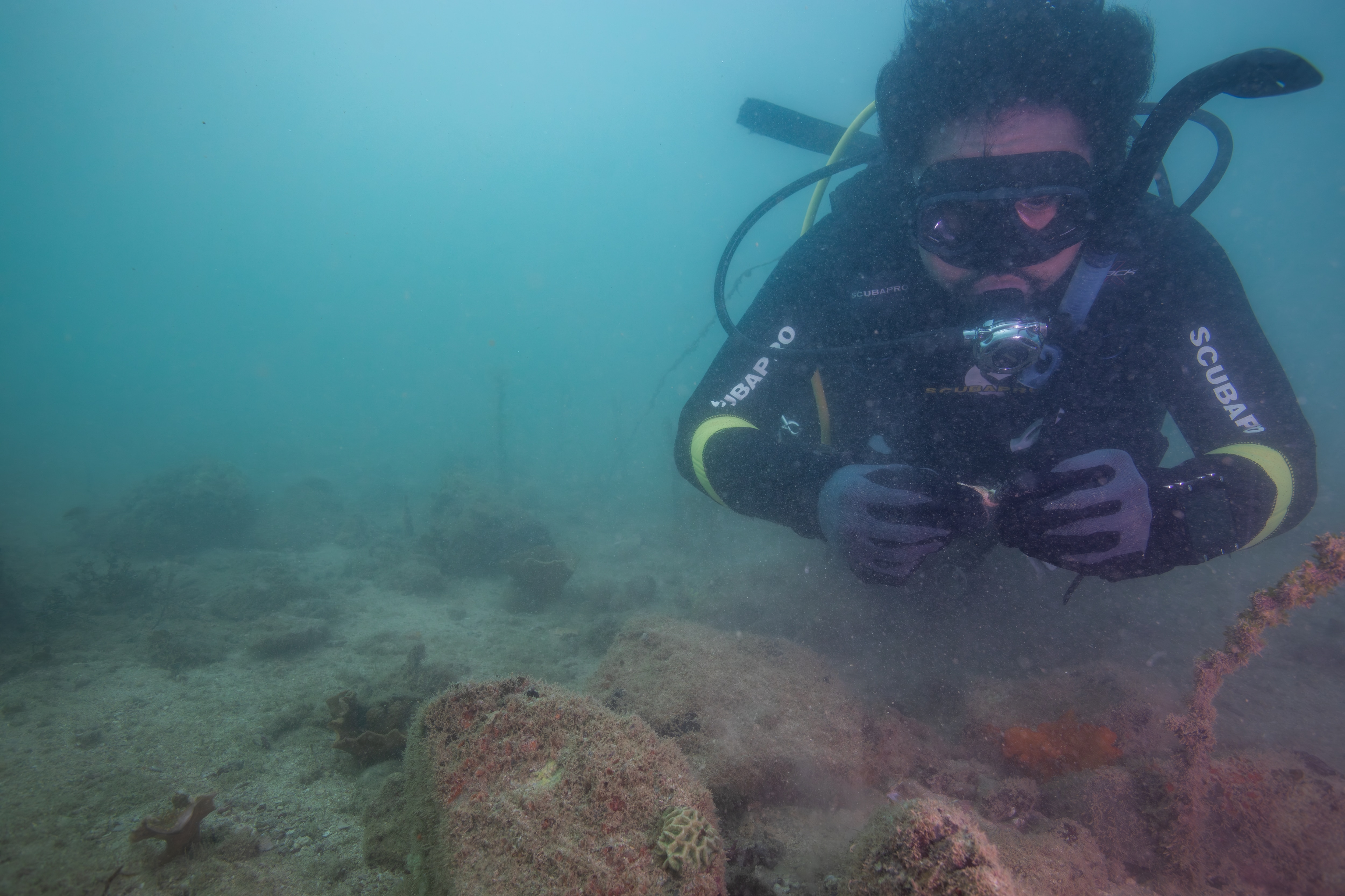 Sunken artefacts give clues to Pilbara's ancient history