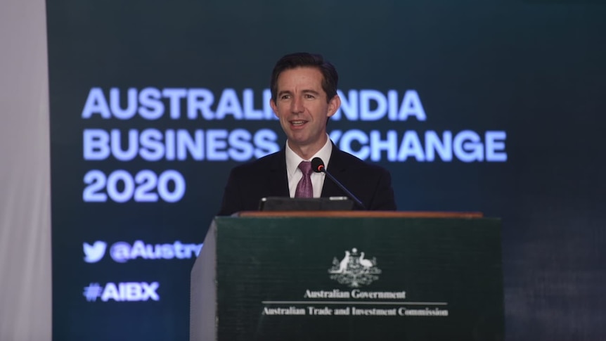 Simon Birmingham stands behind a podium with an Australian emblem on it