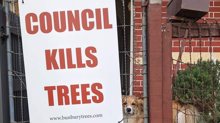 A sign of front gate saying 'council kills trees' in red with a dog peaking around the side.