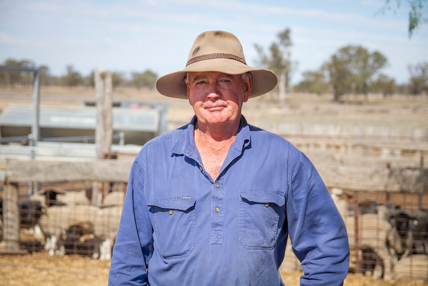 Sheep farmer Rory Frost in his sheep yards on his property near Goondiwindi.