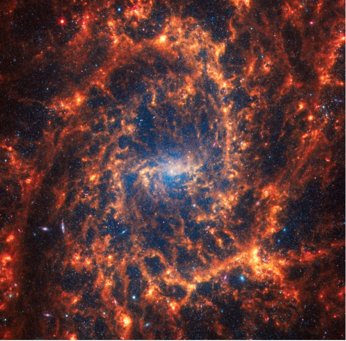 Spiral galaxy NGC 2835 blue core with vibrant orange arms