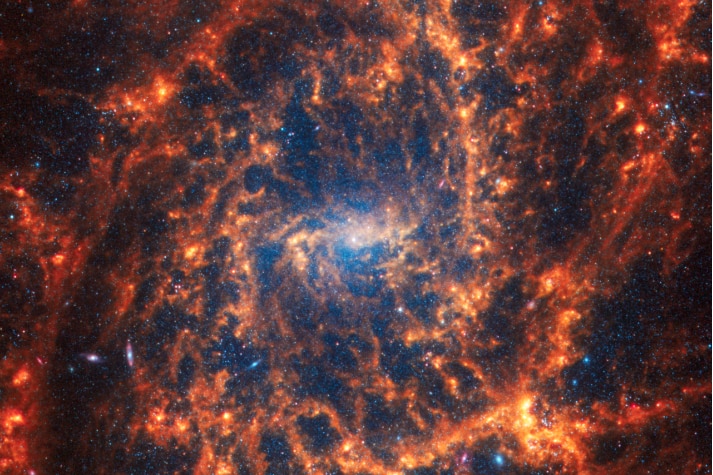 Spiral galaxy NGC 2835 blue core with vibrant orange arms
