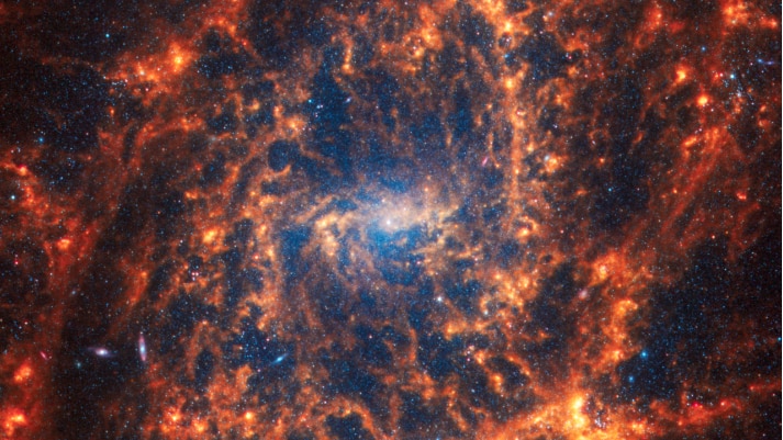 Spiral galaxy NGC 2835 blue core with vibrant orange arms
