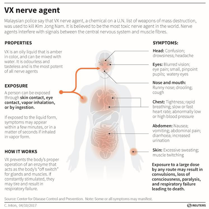 Illustrated fact box showing how the VX nerve agent affects different parts of the body.