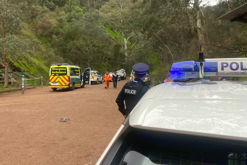 A police car and an officer parked in a nature park with an ambulance and emergency services in the distance