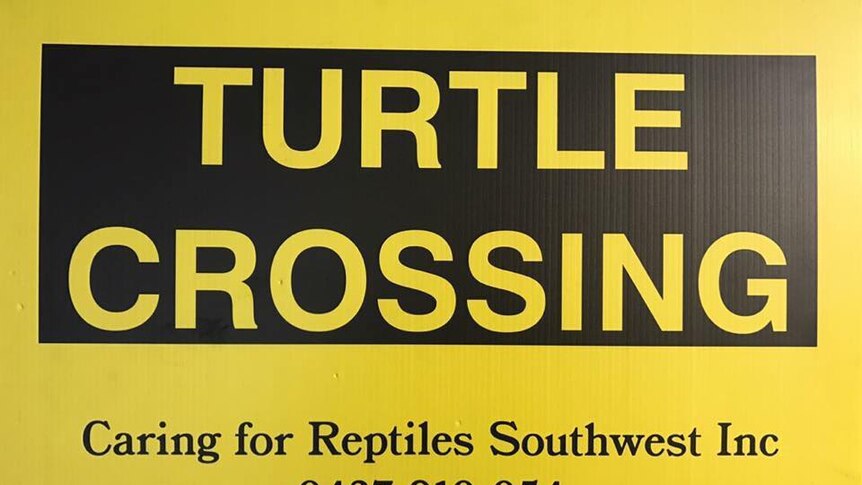 A yellow sign for a turtle crossing in WA's South West.