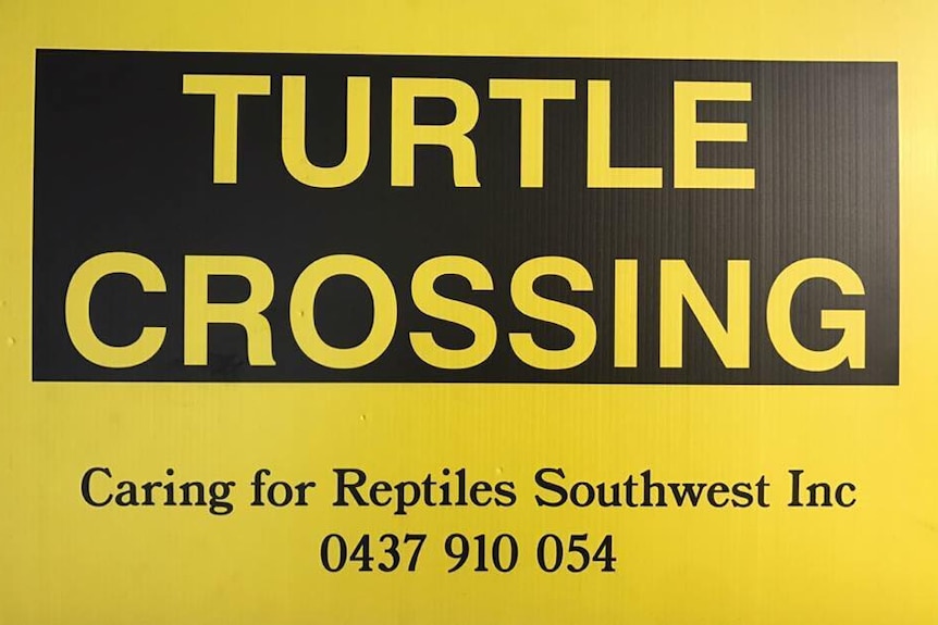 A yellow sign for a turtle crossing in WA's South West.