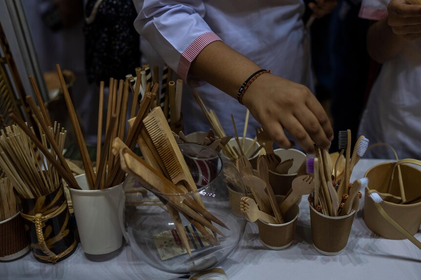 Wooden and bamboo products like combs, chopsticks and toothbrushes that are designed to replace single-use plastic items.