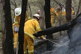 Much of NSW is facing a high to extreme fire danger.