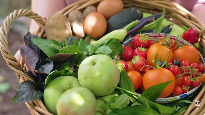 A wicker basket filled with vegetables and eggs.
