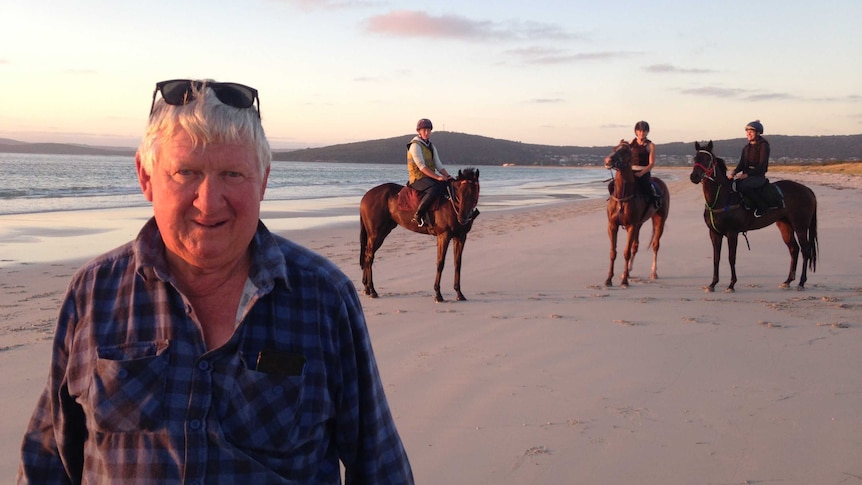 A man stands in front of three racehorses on a beach in Albany