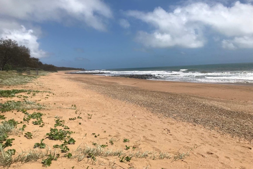 A beach with vegetation on a low-sloping dune, a band of shells on the sand, black rocks on the water's edge, a blue cloudy sky.