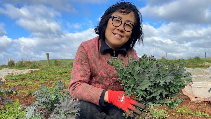 A woman wearing black-framed glasses and a red jacket in a paddock holding up Red russian kale.