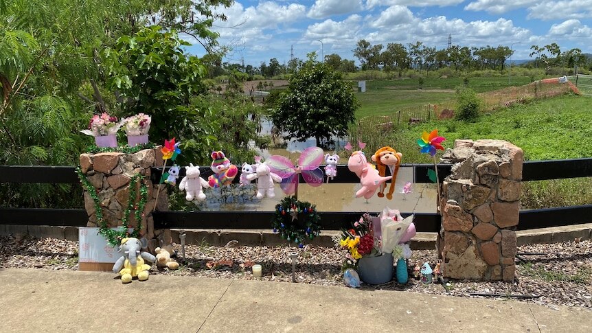 Mother whose child drowned in stormwater drain released from custody ...