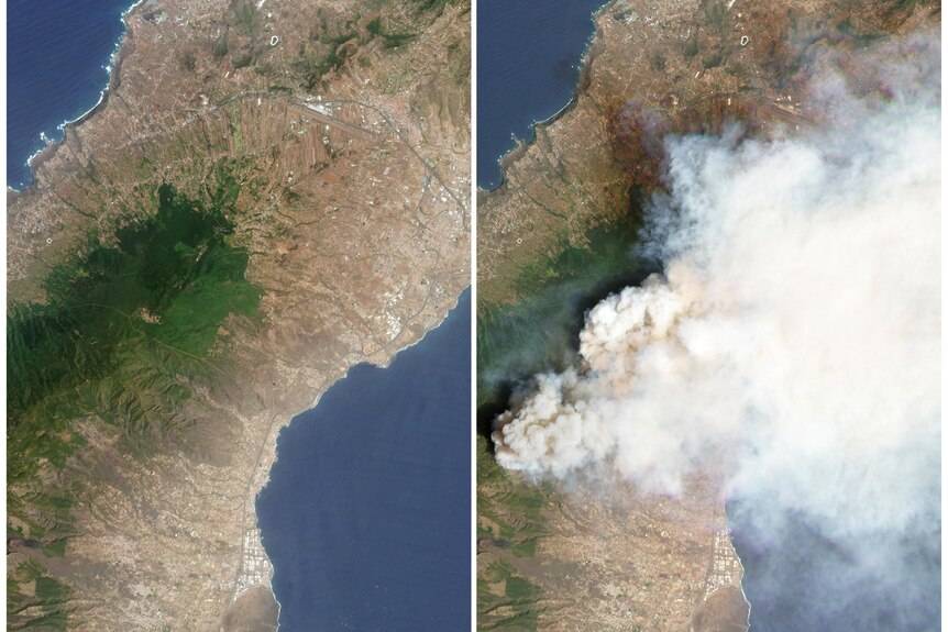 .A combination of satellite images shows the island of Tenerife before and during the wildfire