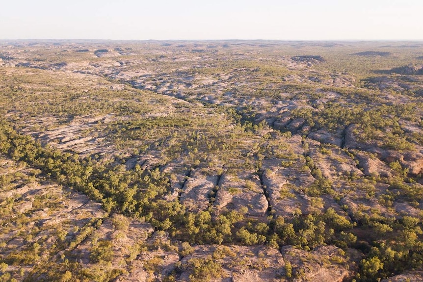 Aerial view of bushland in north Queensland.