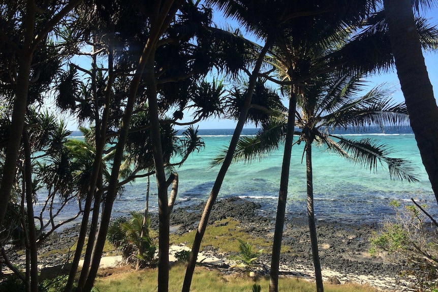 A view from Mer Island looking at the sea through palms