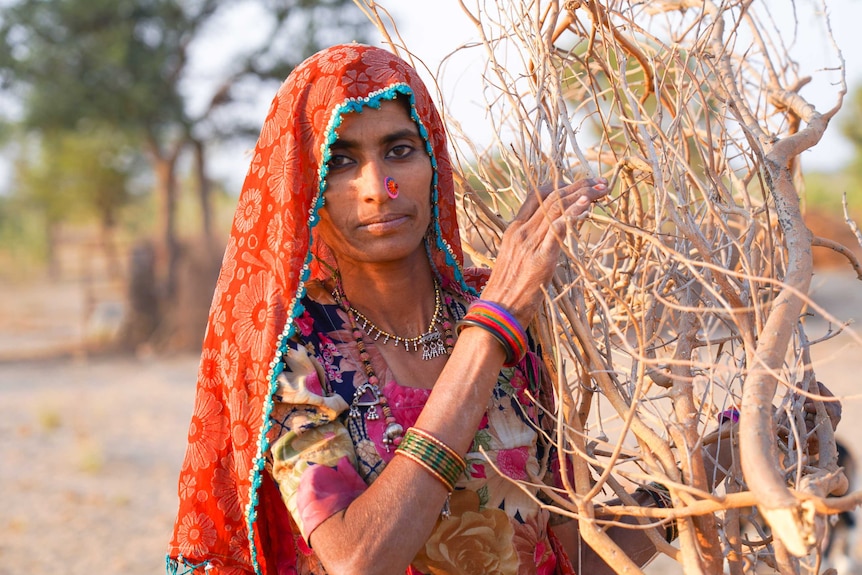 An Indian woman with a red veil over her face, colourful jewellery and a pink nose stud holds a bundle of branches