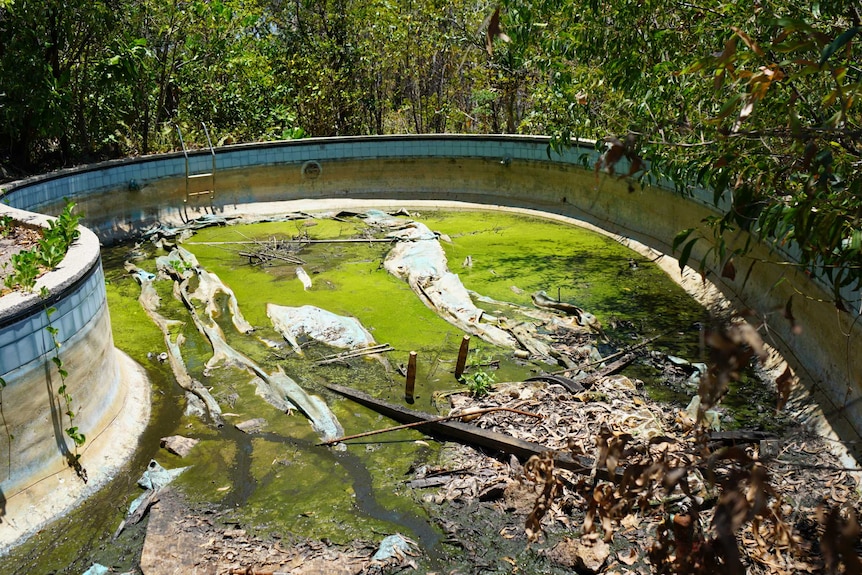 A green swimming pool at the burnt out remains of Hinchinbrook Island Cape Richards lease.