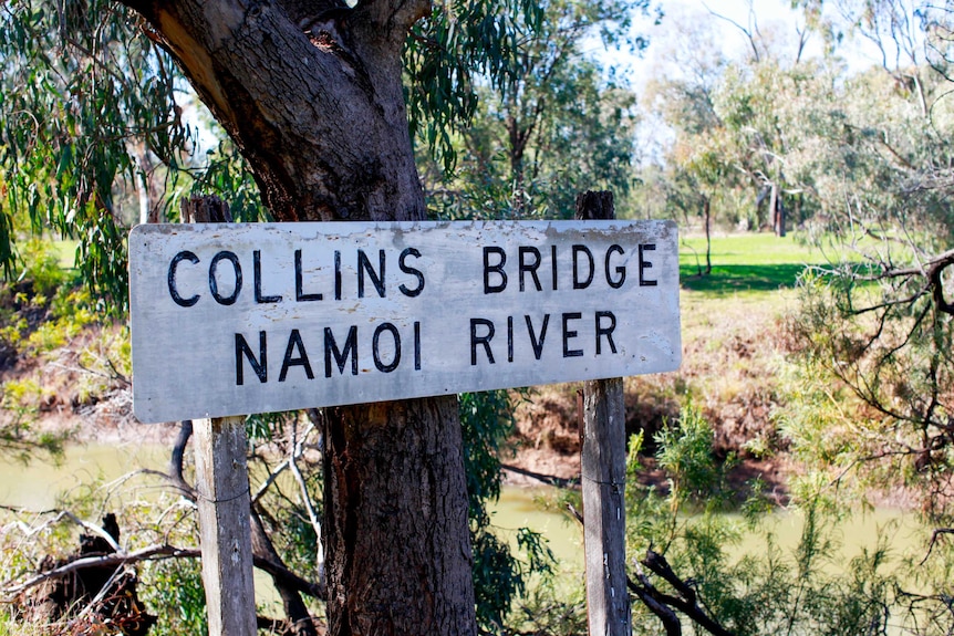 Sign saying Collins Bridge, Namoi River leaning against a tree