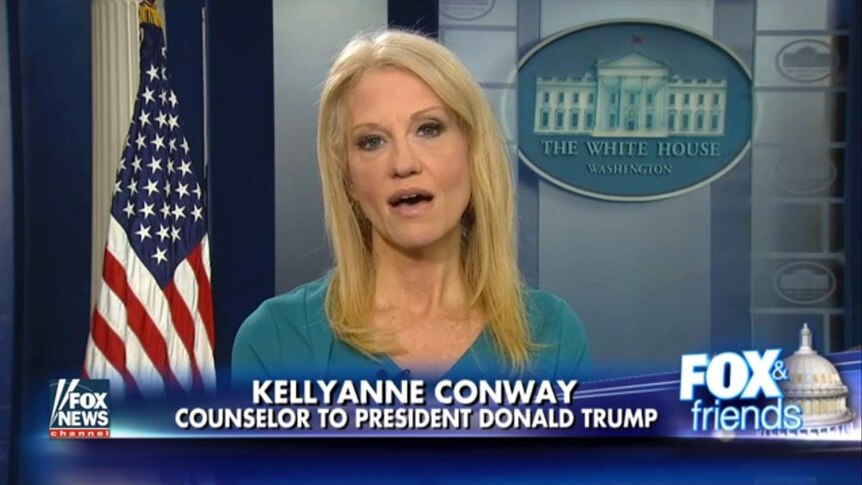 Kellyanne Conway on Fox News.