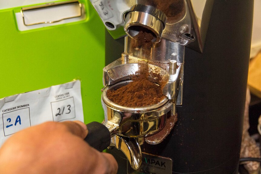 Coffee being ground out of a machine.