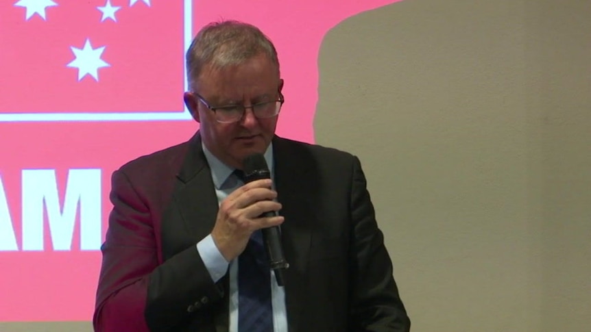 Anthony Albanese urges Labor to engage with business