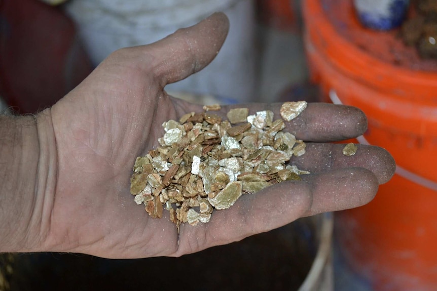 A close up of the artist's hands holding a handful of gold and shiny pebbles.