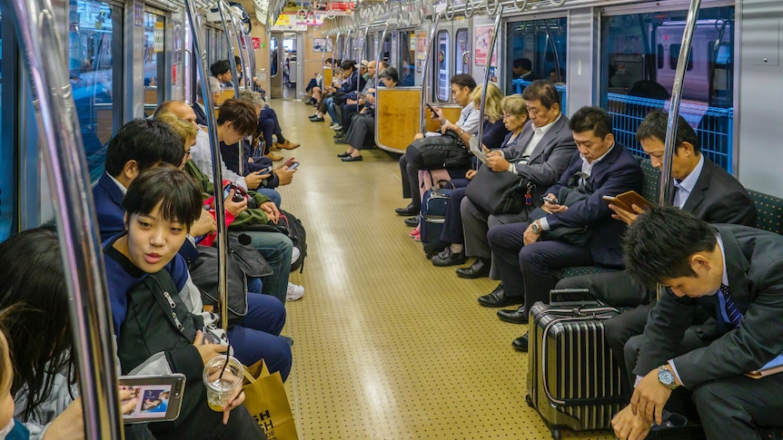 People sitting inside a carriage of a train