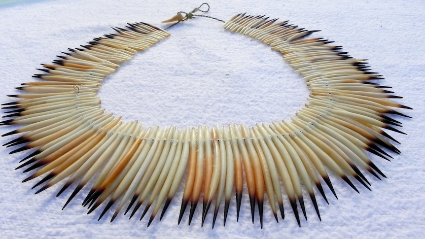Thieves break into exhibition to steal $5,000 echidna quill necklace created by Indigenous artist - ABC News