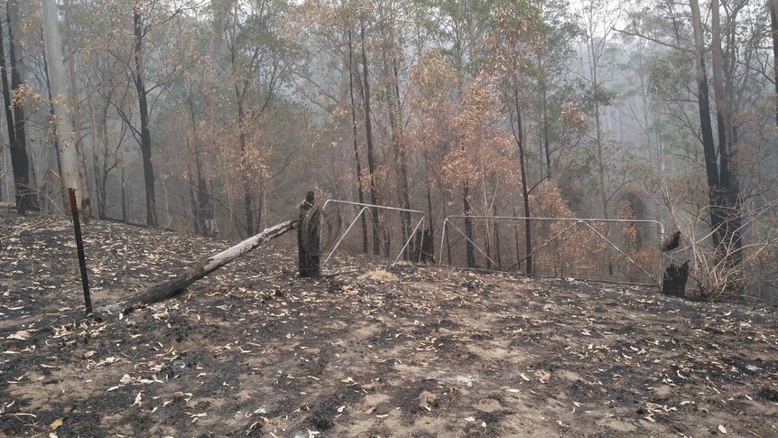 Grass and trees are burnt, fence and gate running through the property also burnt. 