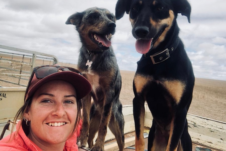 woman in a hat smile with two sheep dogs on a ute tray