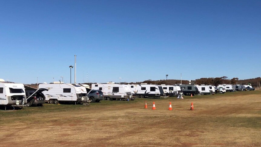 Many interstate caravans lined up on the grass of a racecourse.