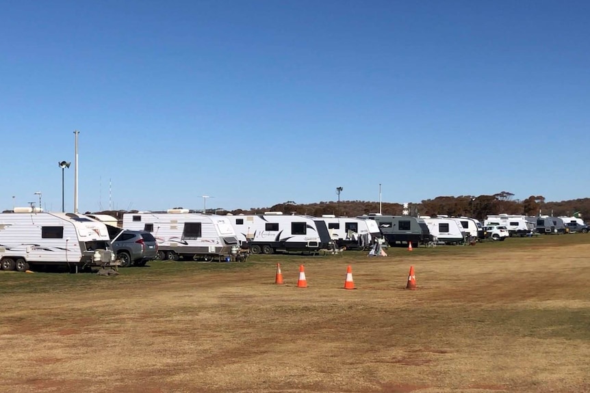 Many interstate caravans lined up on the grass of the Broken Hill race course during the COVID-19 crisis