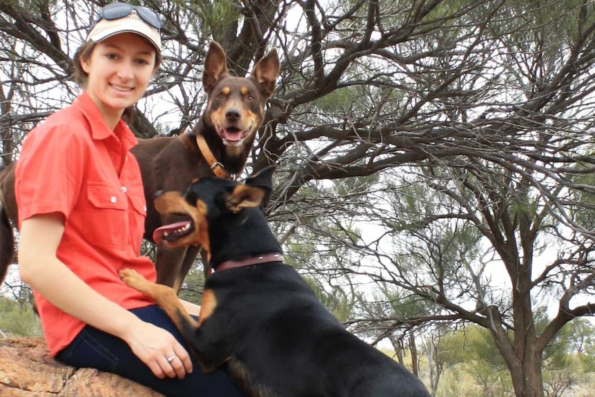 Woman sits on large red boulder with two kelpie dogs at sheep farm near Broken Hill