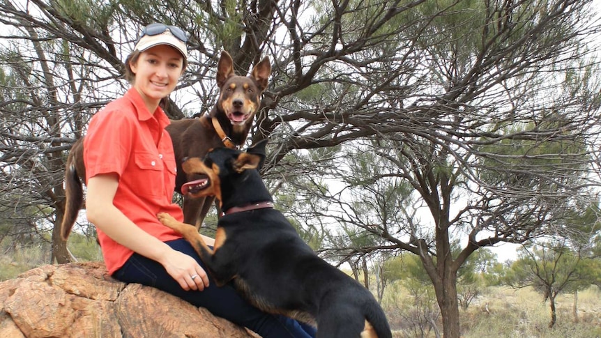 Woman sits on large red boulder with two kelpie dogs at sheep farm near Broken Hill