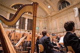A view from within the orchestra showing the back of the harp and seated musicians.