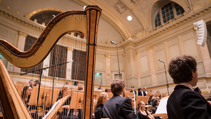A view from within the orchestra showing the back of the harp and seated musicians.