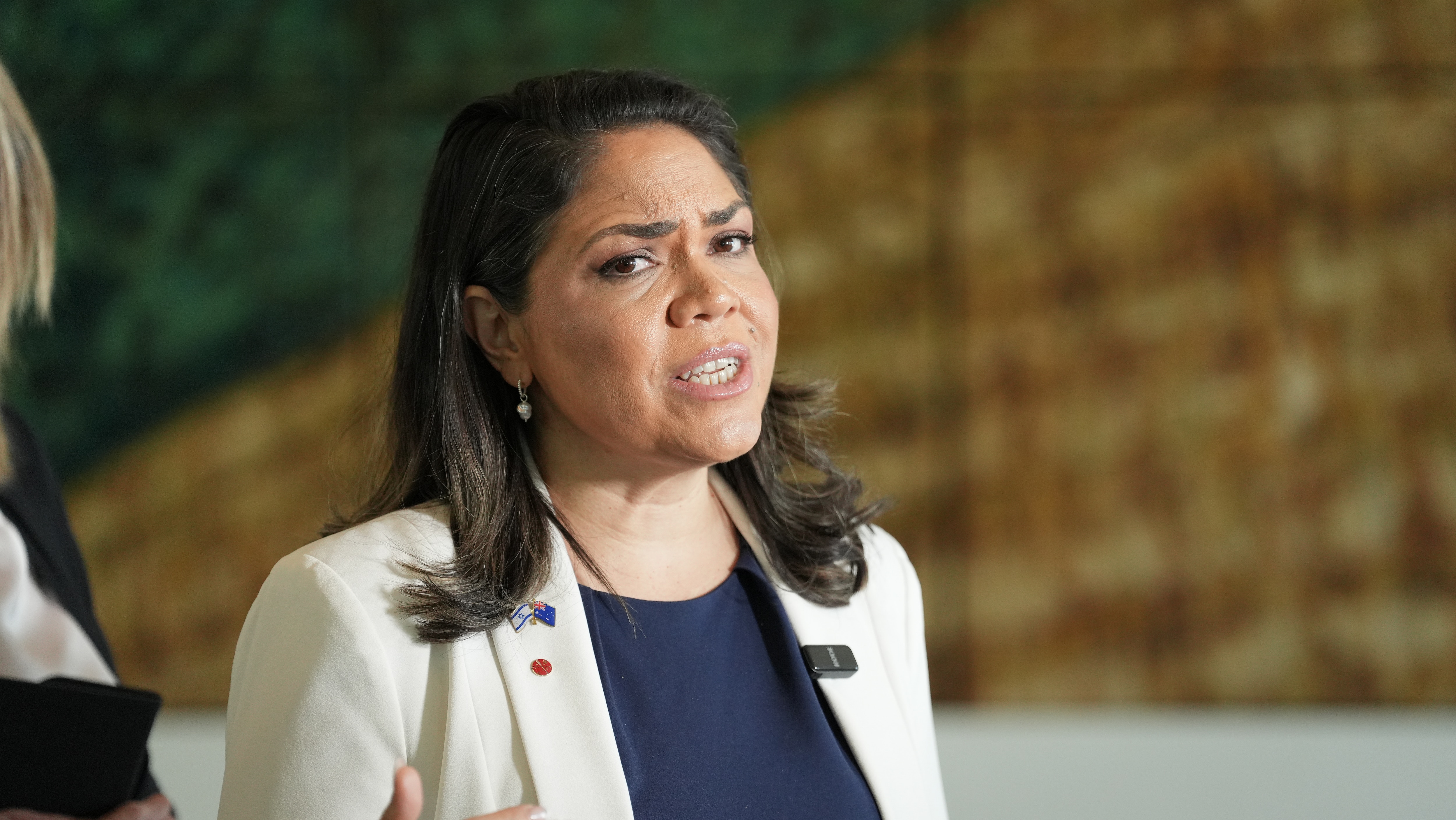 NT senator says child protection 'needs to change' after niece's alleged murder