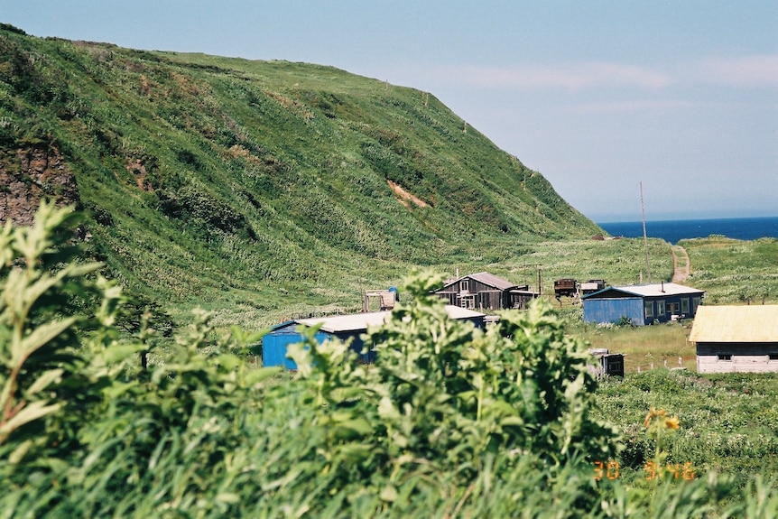 Małe drewniane chaty zbudowane u podnóża łagodnych zielonych wzgórz z widokiem na ocean w tle