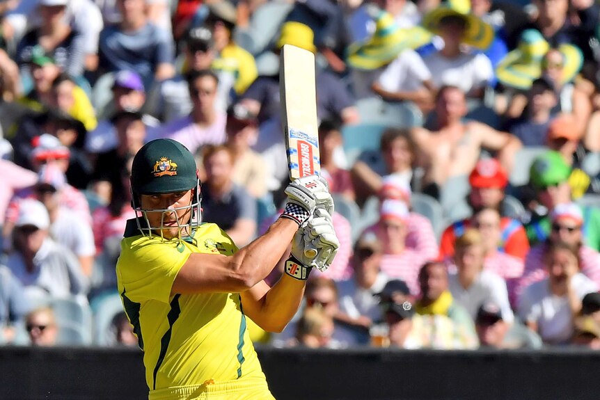 Marcus Stoinis bats for Australia