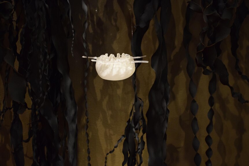 a clear resin kelp water carrier sits suspended in air amongst bull kelp