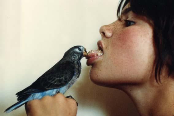 A girl holds out her hand to feed a red parrot 