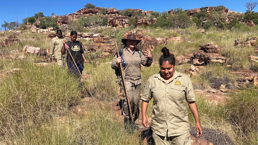 Four women dressed in khaki shirt and pants, carry stick, one wears hat walk through long grass, rocky mountain range behind.