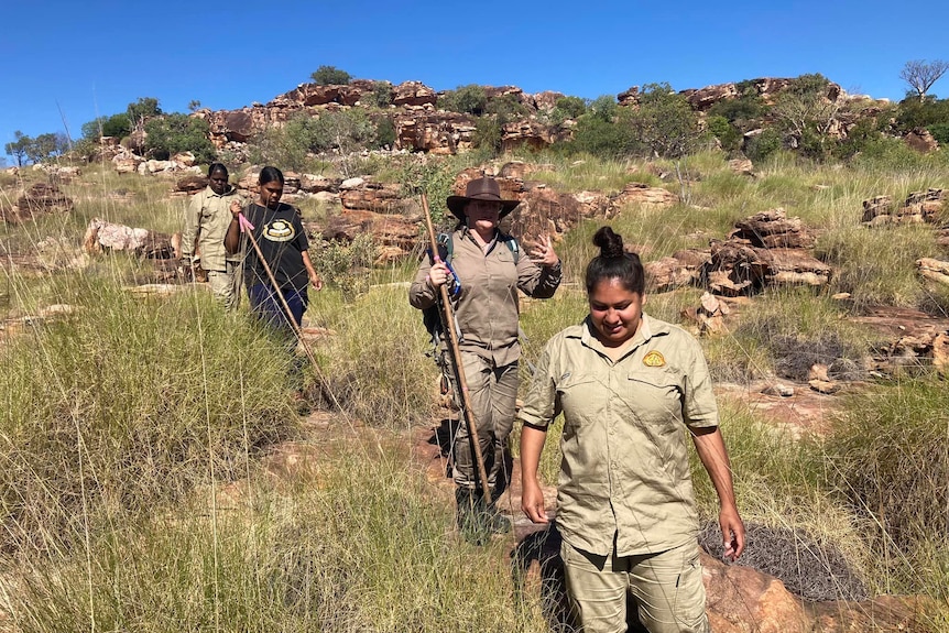 Four female rangers walk through long grass in front of a rocky mountain range